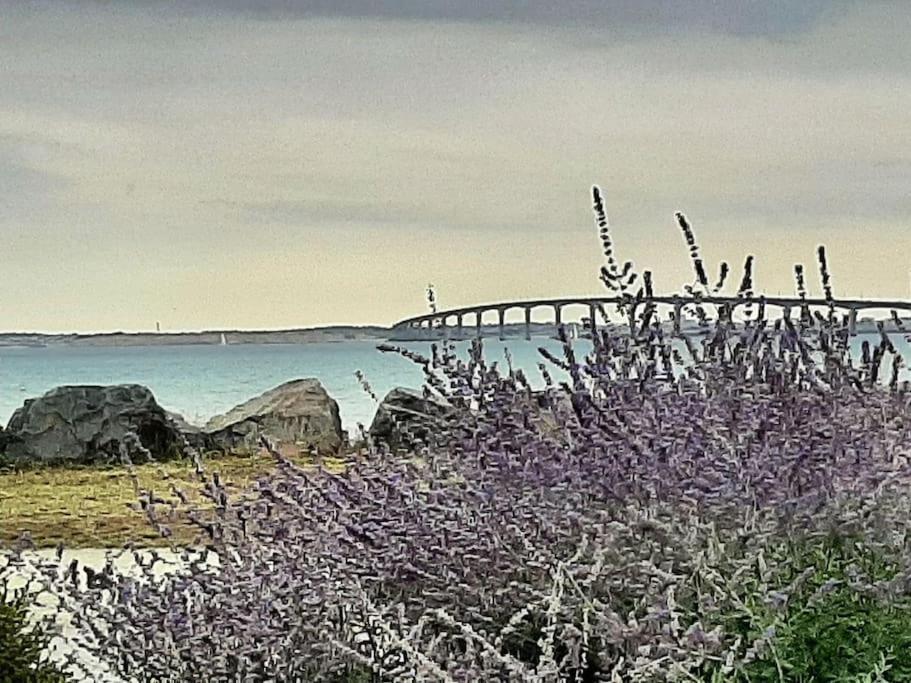 Delicieux Moment De Detente Au Coeur De Saint Martin De Re Buitenkant foto