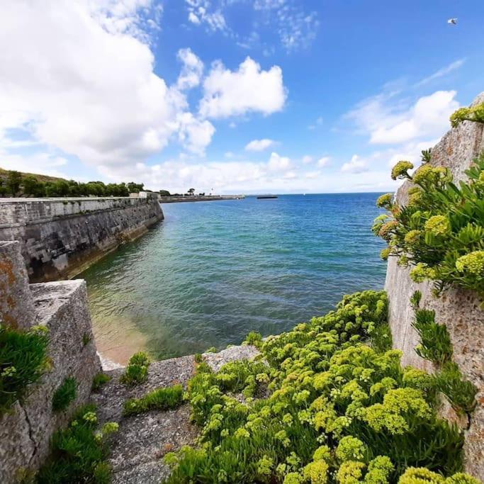 Delicieux Moment De Detente Au Coeur De Saint Martin De Re Buitenkant foto