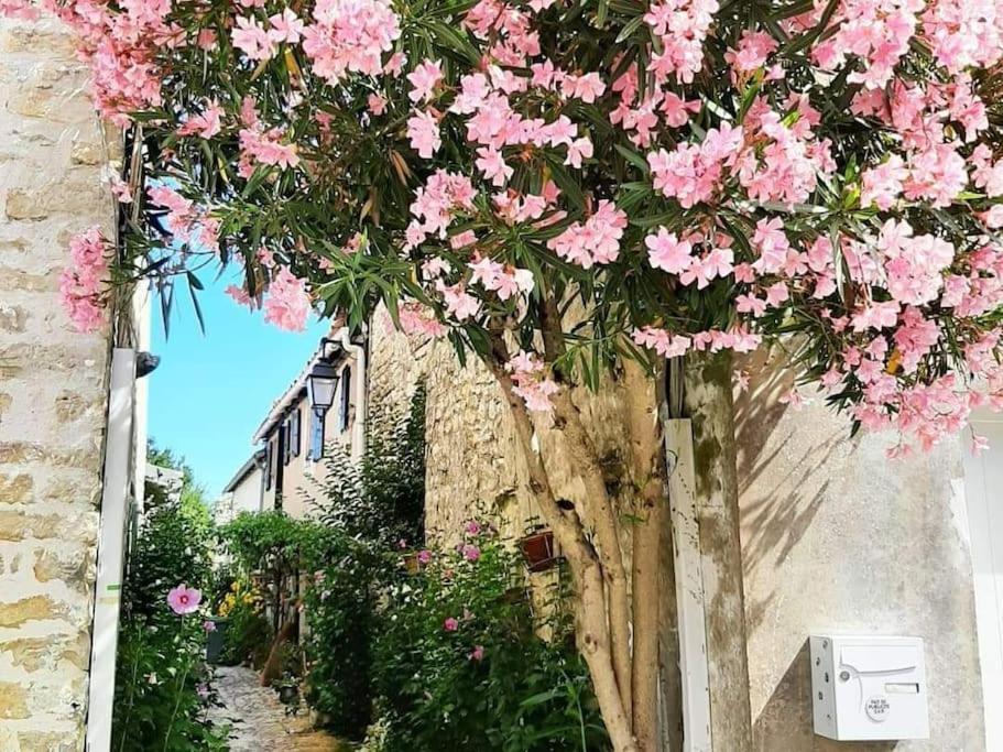 Delicieux Moment De Detente Au Coeur De Saint Martin De Re Buitenkant foto